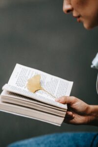 Faire une annexe dans un rapport de stage : c’est quoi une bonne annexe ? Aide en ligne