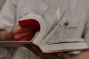 Faire la bibliographie d’une thèse. Aide à la Rédaction en ligne