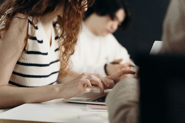 Mémoire de fin d’étude universitaire en anglais